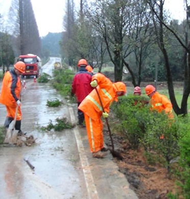 茌平G105线公路两侧绿化补植